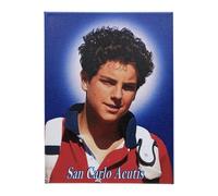 OVUNQUE PROTEGGIMI Painting by Carlo Acutis. Print on canvas. Made in Italy. Catholic gift. Religious painting. 18 x 24 cm. Image San Carlo Acutis.