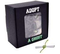 OVYALCJ Adopt A Ghost Halloween Box - Mini Sponge Stuffed Doll, Super Cute Little Pocket Ghost with A Tiny Scroll, Creative Gift for Spooky Stories, Movies, and Halloween Decoration Lovers