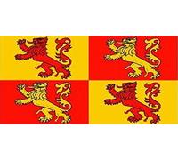 Owain Glyndwr Large Flag - 5' x 3'.