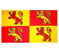 Owain Glyndwr (Welsh) Flag