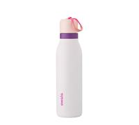 Owala FreeSip Twist Insulated Stainless Steel Water Bottle with Straw for Sports and Travel, BPA-Free, 18-oz, Pink/Purple (Dreamy Field)