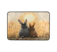 OWFKAY Doormat Welcome Door Mat-Rabbit (22),Living Room Kitchen Floor Mat Home Indoor Outdoor Decoration 60cmX40cm