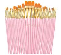 OWill 30 PCS Paint Brush Set, Nylon Professional Artist Paint Brushes for Acrylic Painting, Oil Painting, Watercolor Painting,Face Painting, Small Acrylic Paint Brushes for Artists, Adults, Kids(Pink)