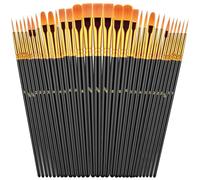 OWill 30 PCS Paint Brush Set, Nylon Professional Artist Paint Brushes for Acrylic Painting, Oil Painting, Watercolor Painting,Face Painting, Small Acrylic Paint Brushes for Artists Adults Kids(Black)