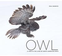 Owl: A Year in the Lives of North American Owls