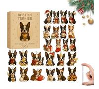 Owl Advent Calendar 2025, 2D Acrylic Owls Keychain Collection Decoration, 24 Days of Surprise Countdown Calendars Gift Box, Festive Decoration for Christmas Trees