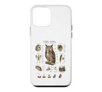 Owl Anatomy Vintage Field Guide Diagram Nature Art Case for iPhone 12 mini
