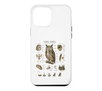 Owl Anatomy Vintage Field Guide Diagram Nature Art Case for iPhone 12 Pro Max