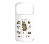 Owl Anatomy Vintage Field Guide Diagram Nature Art Case for iPhone 17 Pro