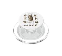 Owl Anatomy Vintage Field Guide Diagram Nature Art PopSockets PopGrip for MagSafe