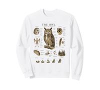 Owl Anatomy Vintage Field Guide Diagram Nature Art Sweatshirt