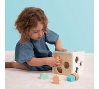 Owl & Fox Wooden Shape Sorter, Shape Sorting Cube, Montessori Play for Infants and Toddlers 12 months+, Colourful Assorted Shapes for Problem Solving Developmental Play, FSC Certified Wood