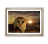 Owl and Sunset Landscape Framed Print | A2 Oak Framed Wall Art | Ready to Hang | Modern Animal Picture | Living Room Bedroom Lounge Office
