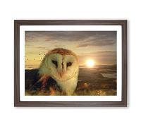 Owl and Sunset Landscape Modern Framed Print | A2 Walnut Framed Wall Art | Ready to Hang | Modern Animal Picture | Living Room Bedroom Lounge Office