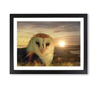 Owl and Sunset Landscape Modern Framed Print | A3 Black Framed Wall Art | Ready to Hang | Modern Animal Picture | Living Room Bedroom Lounge Office
