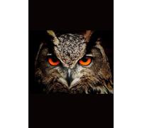 Owl - Animals Of The World: Notebooks with Animals for Kids, Notebook for Drawing and Writing (Colorful & Cartoon Cover, 100 Pages, Blank, 6x9), (Animals of the Word)