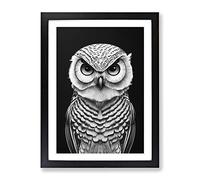 Owl Art Monochrome Framed Wall Art Print A2 Black
