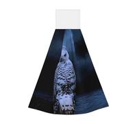 Owl at Night Coral Velvet Hand Wipes Hanging Towel - Quick Dry Cleaning Cloths for Kitchen, Bathroom, Camping & More