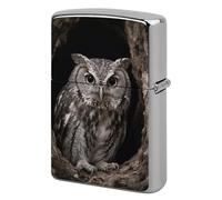 Owl at The Cave Entrance Lighter Case Double-Sided Graffiti Metal Lighter Cover Lighters Protective Sleeve for Women Men Standard Lighters
