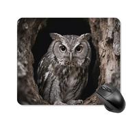 Owl at The Cave Entrance Square Mouse Pads Non-Slip Rubber Base Mouse Mat Cute Mousepad Funny Computer Desk Accessories for Office Home Gaming Work 25 * 30cm