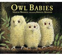 Owl Babies