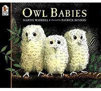 Owl Babies