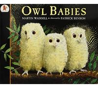 Owl Babies (Big Books): Written by Martin Waddell, 1998 Edition, (New edition) Publisher: Walker Books Ltd [Paperback]