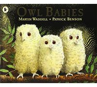Owl Babies by Martin Waddell (8-Sep-1994) Paperback