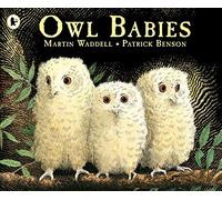 Owl Babies: A beloved classic from the recipient of An Post Irish Book Awards’ Bob Hughes Lifetime Achievement Award