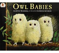 Owl Babies: Over two million copies sold - a heartwarming bedtime picture book story that comforts and reassures - also the perfect gift for birthdays, new parents and baby showers (Big Books)