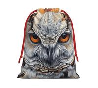 Owl Beliefs Print Christmas Drawstring Gift Bags, Xmas Holiday Fabric Gift Wrapping Bag For Party, Size-L