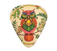 Owl Beliefs Print Guitar Picks,12 Pack Guitar Plectrums Thin, For Bass Electric Acoustic Guitars Ukulele