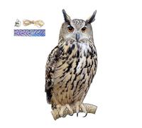 Owl Bird Scarers For Gardens, Farm Protector Scarer, Scarecrow For Roofs,Fake Owl Decoy For Pestt Deterrentt, Repel Devices Outdoor, Waterproof Patio Balcony Garden Decorations