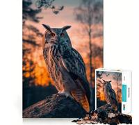 Owl Bird Sunset Animal Jigsaw Puzzles 1000 Piece for Teenagers Reason Skill Toy Serene Time Exact Cut Amazing Present (38x26cm)