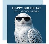 Owl Birthday Card for Men Women - Cool Animals - Happy Birthday Card for Sister Husband Wife Grandad, 145mm Bday Greeting Cards