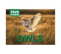 Owl Calendar 2026 - Monthly Wall Calendar with Owl Patterns | Jan - Dec 2026, Large Ruled Blocks, Planner for Gym School Workplace Home Planning Scheduling