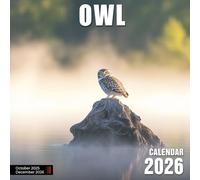 Owl Calendar 2026: Silent wings and wise stares captured in mystical forest light
