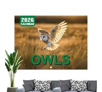 Owl Calendar 2026 | Wall Calendar 2026 Monthly Planner Agenda | Owls Themed Illustrations for Personal Tasks and Goals Planning & Organization