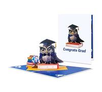 Owl Celebration Scene 3D Pop Up Graduation Congratulations Card