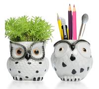 Owl Ceramic Planter Mini Plant Pots 2Pack With Drainage Pen Pencil Holder Cute Flower Planters For Indoor Herb Garden Kit Cactus Plant Pots Air Plant Kitchen Window Gardening Starter Set Owl Gifts