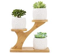 Owl Ceramic Succulent Pots - 3 Pcs Mini Plants Pots with 3-Tier - Bamboo Saucers Stand Holder with Drainage Hole for Office and Home Decor, Ideal for Gift