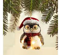 Owl Christmas Tree Decorations, Rustic Woodland Animal Hanging Ornaments with Raccoon, Squirrel, Hedgehog and Bird Designs for Home and Tree Décor Creating a Cosy Festive Atmosphere(C)