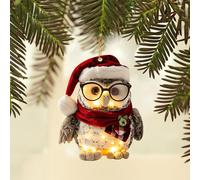 Owl Christmas Tree Decorations, Rustic Woodland Animal Hanging Ornaments with Raccoon, Squirrel, Hedgehog and Bird Designs for Home and Tree Décor Creating a Cosy Festive Atmosphere(D)