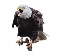 Owl Decoy Decoration for Outdoor Spaces, Solution to Deter Birds Naturally (B)