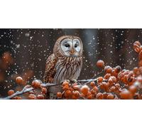 Owl Diamond Art Kits Adults Winter Diamond Painting Cross Stitch Kits for Adults 80x40 in, DIY Crystal Art Canvas for Painting, Rhinestones Embroidery Wall Pictures Crafts for Home Decor ZSHD-7384