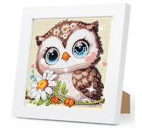 Owl Diamond Art with Framed