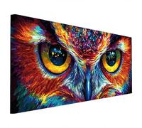 Owl Diamond Painting Kit for Adults, Large Diamond Art for Adults Abstract Pattern with Square Full Drill, DIY Crystal Art Paintings Embroidery Kits for Home Wall Decor, Gifts for Women 140x60cm B-93