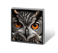 Owl Eyes Button Pin Metal Square Badge for Backpack Clothing - Enamel Style Lapel Brooch Bird Gift