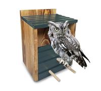 Owl House for Outside Ready-to-use No Assembly Required Screech Owl Box Bird House 100% Cedar Wood Brid Nesting House for Outdoors Real Wood