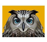 Owl Illustration On Orange Unframed Art Print Poster Wall Decor 12x16 inch